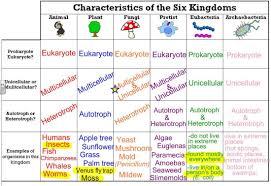 The Six Kingdoms Thinglink Taxonomy Biology Teaching
