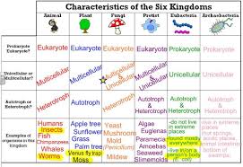 the six kingdoms thinglink taxonomy biology teaching