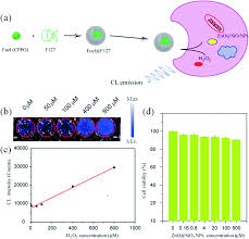 Al hil, mecca suudi arabistan. Journey Of Zno Quantum Dots From Undoped To Rare Earth And Transition Metal Doped And Their Applications Rsc Advances Rsc Publishing