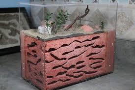 Tar Heel Ants Summer 2014 Large Photos High Quality Handcrafted Formicaria And Ant Keeping Supplies In Keeping Ants Forum Ant Farms Formicarium Ant Habitat
