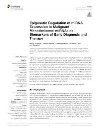 We did not find results for: Pdf Epigenetic Regulation Of Mirna Expression In Malignant Mesothelioma Mirnas As Biomarkers Of Early Diagnosis And Therapy