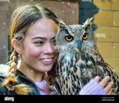 Night of the eagle hi-res stock photography and images