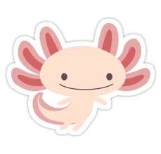 Derpy axolotl axolotl vector axolotl base anime axolotl drawings armadillo drawing easy axolotl diagram axolotl wooper axolotl crafts axolotl character axolotl fish drawing axolotl drawing deviantart axolotl fursona cute axolotl ocs axolotl transparent pink axolotl drawing axolotl. Pin On Sticker