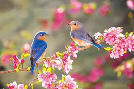 Resultado de imagen de primavera