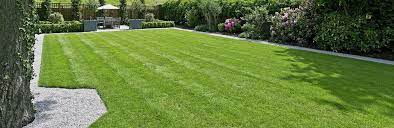 7 Lawn Care Tips | Love The Garden