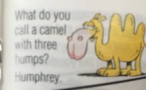 She called him a lot of names, most of which are unprintable. Idget On Twitter Is The Set Up A Misprint Because If It Was What Do You Call A Camel Without Humps Humphrey Then It Would Be An Actual Joke Because It Sounds Like