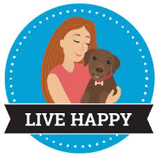 Small Dogs For Sale Small Dog Breeds For Sale Vip Puppies