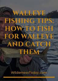 Walleye Fishing Tips How To Fish For Walleye And Catch Them Walleye Fishing Tips Walleye Fishing Fishing Tips