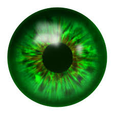 Green Eyes Png Image Eyes Clipart Green Eyes Blurred Background Photography