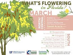Thread in the florida gardening forum forum by chrisb01: What Is Growing In North Central Florida The Garden Club At Palm Coast