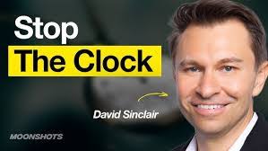 Silvia Araya's Instagram, Twitter & Facebook