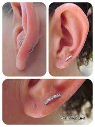 Braindrops Photo Ear Piercings Orbital Piercing Earings Piercings