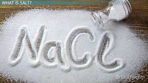How Is Salt Made Lesson For Kids Video Lesson Transcript Study Com
