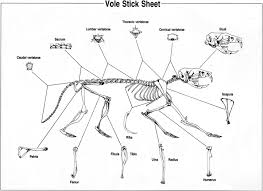 Contextualizing The Relationship Between Nature Of