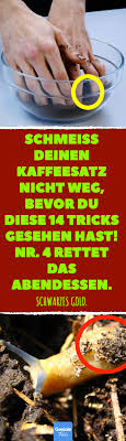 Schmeiss Deinen Kaffeesatz Nicht Weg Bevor Du Diese 14 Tricks Gesehen Hast Nr 4 Rettet Das Abendessen 14 Nutzliche Recycli Kaffeesatz Haushalts Tipps Tricks