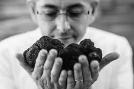 Top class tasting menu in a small but brilliant restaurant