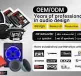 OEM Factory 10" Inch Strong Bass DVC Active Subwoofer