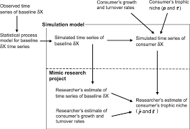 Fig A1 Flow Chart Describing Steps In The Simulation Model