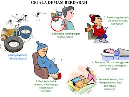 30+ gambar nyamuk dbd kartun. Kenali Gejala Demam Berdarah Sebelum Terlambat Berita Terkini