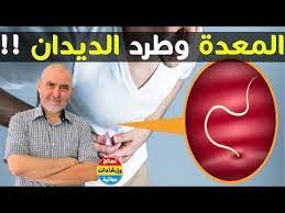 وصفات طبيعية وفعالة لعلاج الجهاز الهضمي وطرد الديدان وضغط الدموي مع الدكتور كريم العابد العلوي youtube pandora screenshot
