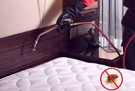 (1346 ratings) 328 times rated 5 star. Bed Bugs Management In Dombivli Bed Bugs Pest Control Services