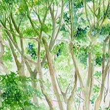 day162 誰でも描けるが誰も描こうとしない絵 a picture that anyone can draw but nobody draws green nature life tree botanical i dark tree tree drawing tree of life artwork