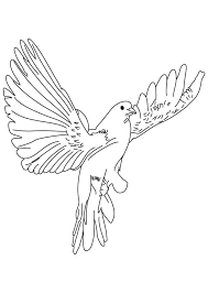 Stats on this coloring page. Dove Coloring Pages Coloring Home