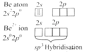 In writing the electron configuration for beryllium the first two electrons will go in the 1s orbital. A Bef 4 2 Exits But Becl 6 4 Does Not Give Reson B Hydrated Beryllium Ion Exists As Be H 2 O 4 2 Whereas Hydrated Magnesium Ion Exists As Mg H 2 O 6 2 Give Reason