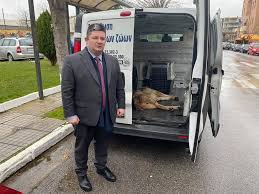 Jun 19, 2021 · η εθνική ομάδα θα πραγματοποιήσει προετοιμασία στο προπονητικό κέντρο του μισάτο στην ιαπωνία από τις 17 ιουλίου έως τις 26 του ίδιου μήνα. Axarnes Attikhs Skylos Pyrobolhmenos Bre8hke E3w Apo To Olympiako Xwrio Www Zoosos Grwww Zoosos Gr