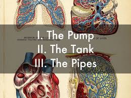Posts about rush exam written by sonospot. The Rush Exam By Christina Jee Ah Rhee