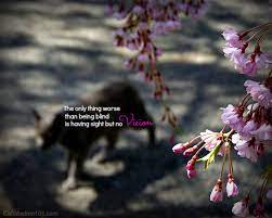 100 flower quotes that will make you bloom. The Art And Vision Of Cat Wisdom Cat Wisdom 101 Everything Feline Since 2011