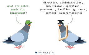 Manages a meat market where would conduct be a reasonable alternative to manage? More 1100 Management Synonyms Similar Words For Management