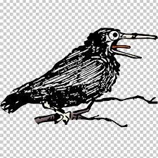 Over 5,400 singing bird pictures to choose from, with no signup needed. Common Raven Eurasian Magpie Bird Singing Png Clipart Artwork Beak Bird Black And White Branch Free
