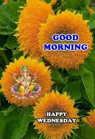 Good Morning Good Morning Qube Happy Wednesday Sharechat Good Morning Wednesday Good Morning Happy Good Morning Sunday Images