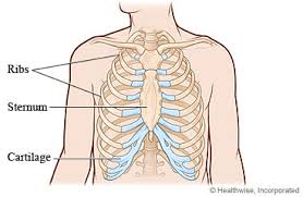 Therefore chest pain may be a symptom of a disease within these organs. Sternum Fracture Care Instructions