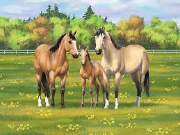 Gentle for the whole family! Buckskin Dun Quarter Horses In Summer Pasture Painting By Crista Forest