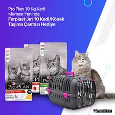 Pro Plan 10 Kg Kedi Mamalari Hediyeli Kedi Kedi Kopek Kopek