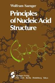 Image result for Nucleic Acid