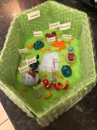 Papers selected for publication contribute significant new advances to clearly identified technological problems and/or biological questions. Emma Johnson On Twitter Daughter Has Finished Her Biology Project A Plant Cell Model Amazing What You Can Achieve In Lockdown With Limited Materials I May Be Biased But Have To