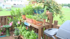 My Herb Garden Deck Landscaping Herb Garden Garden Inspiration