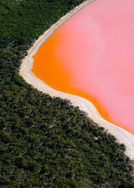 Australia Through The Lens Of Photographer Daniel Muller In 2020 Landscape Beach Scenes Instagram
