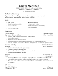 20+ best auditor resumes resumehelp