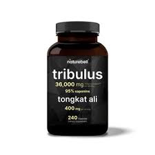 Image result for Tribulus terrestris