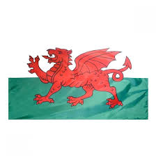 National national flag wales country wales flag flag cymru book making welsh facts about wales. Wales Welch Flags At Flags Unlimited Us Flags