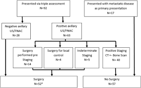 The stage provides a common way of describing the cancer, so doctors can work together to plan the best. Is There A Role For Locoregional Surgery In Stage Iv Breast Cancer The Breast