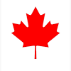 Discover how to buy gold coins online at the best price in turbulent times. 1