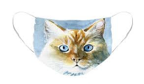 This is an incredible male flame lynx point himalayan persian kitten. Doll Face Flame Point Himalayan Cat Painting Face Mask For Sale By Dora Hathazi Mendes