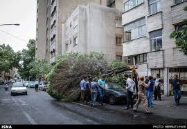 نتیجه تصویری برای طوفان تهران را درنوردید