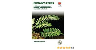 It is knit in the round, with simple decreases at the crown. Britain S Ferns A Field Guide To The Clubmosses Quillworts Horsetails And Ferns Of Great Britain And Ireland Wildguides Merryweather James Amazon De Bucher