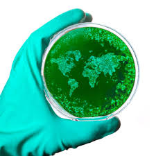 Montag von 16.30 bis 17.30 uhr am institut für virologie (1090 wien, kinderspitalgasse 15, 3. Das Wiener Impfkonzept Infektiologie Universimed Medizin Im Fokus